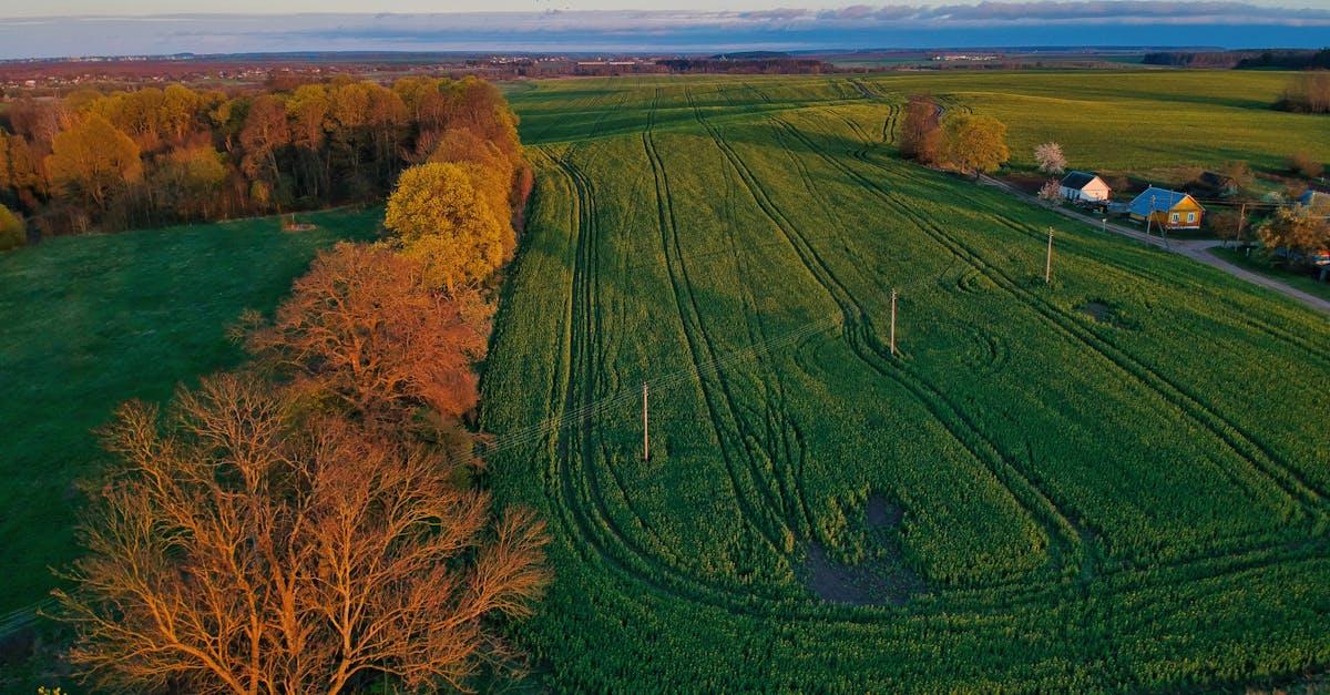 Zanim podpiszesz akt: jak wybrać idealną działkę bez przykrych niespodzianek